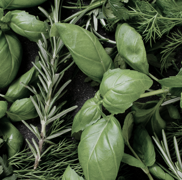 Adaptogenic herbs and plant compounds