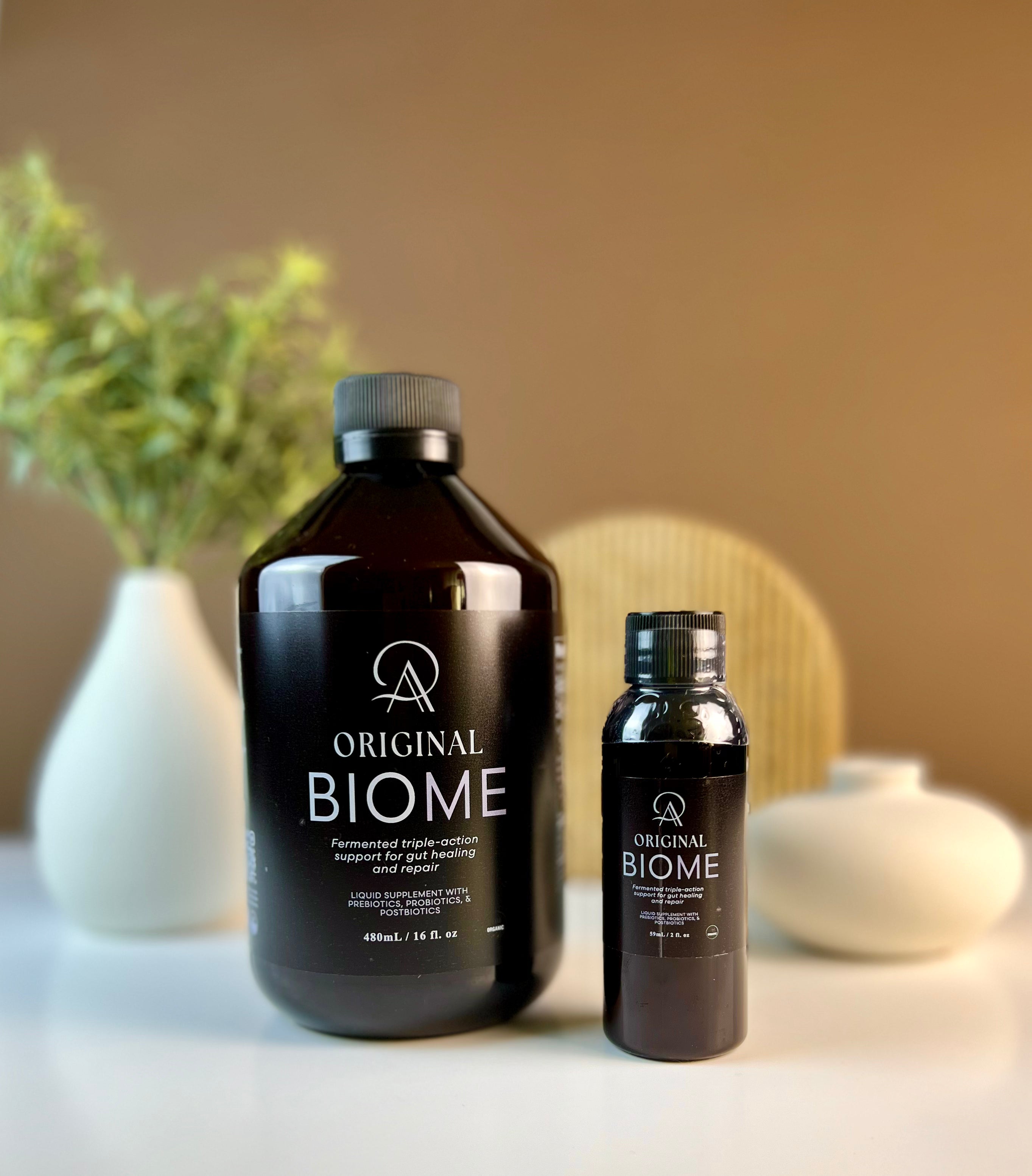 Original Biome - Travel Bundles