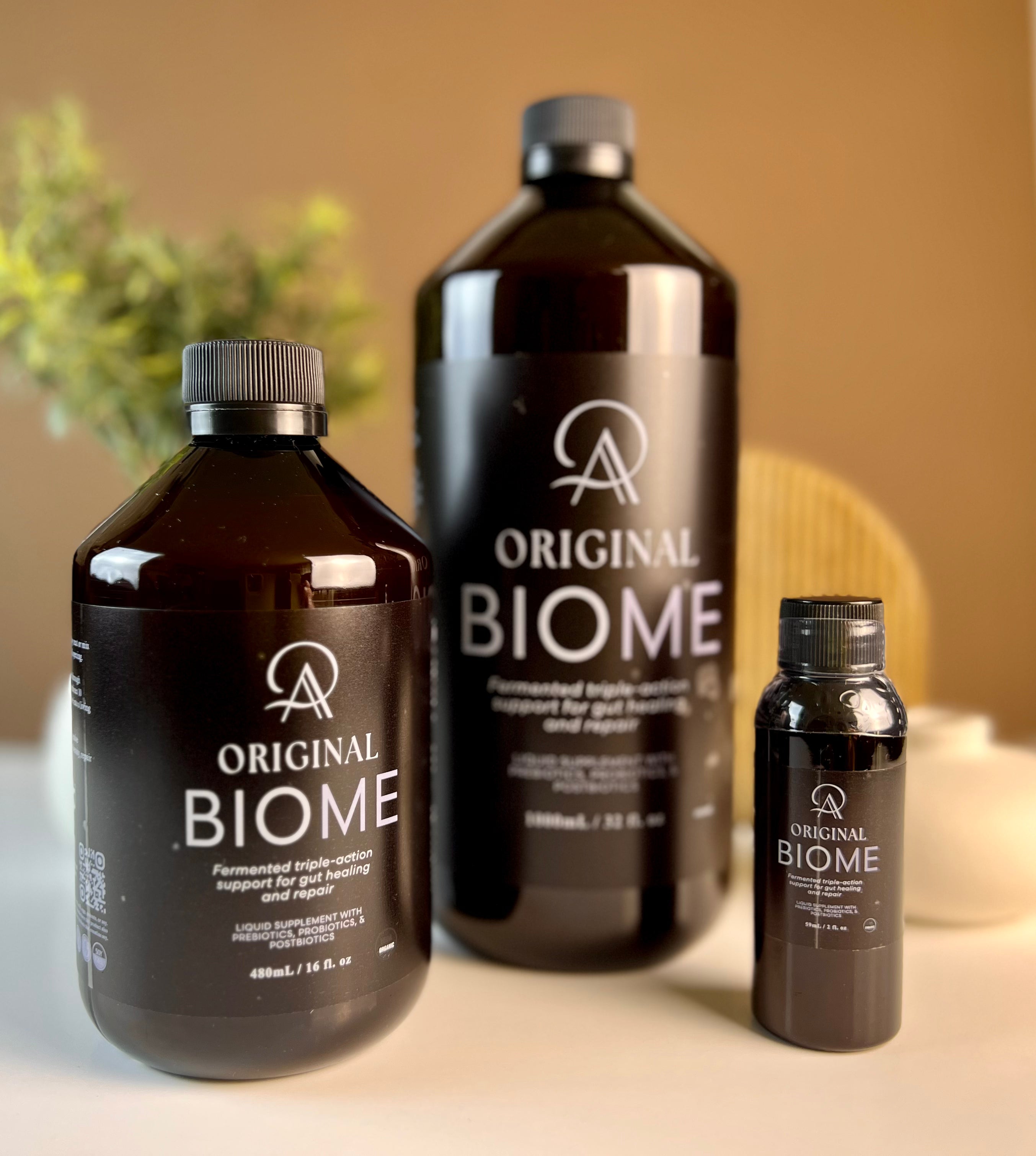 Original Biome - Travel Bundles