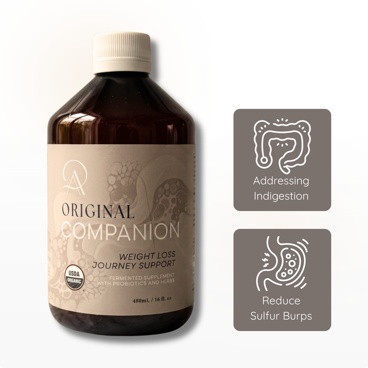 Original Companion - GLP-1 Support
