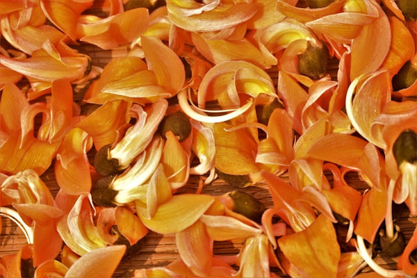 Calendula (Marigold Extract)