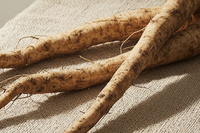 Burdock Root