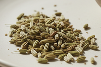 Fennel Seed